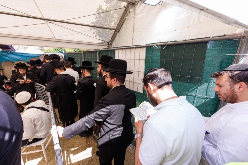 האחים לענטשעווסקי