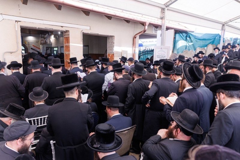 האחים לענטשעווסקי