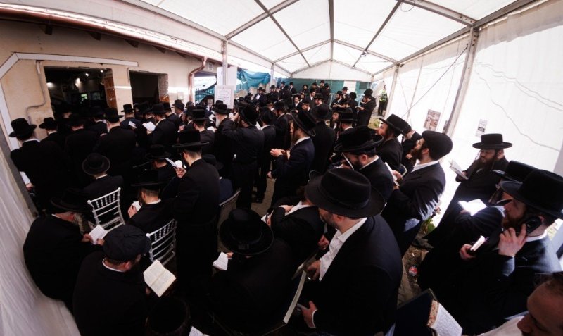 האחים לענטשעווסקי