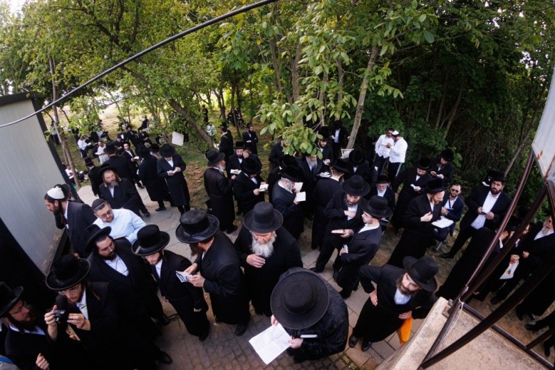 האחים לענטשעווסקי