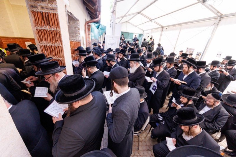 האחים לענטשעווסקי