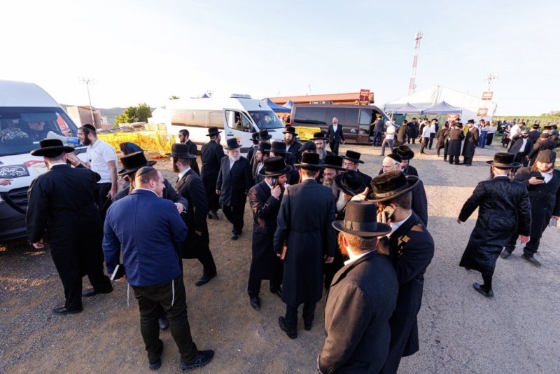 האחים לענטשעווסקי