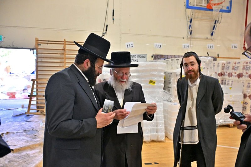 יהושע פרוכטר