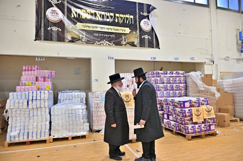 יהושע פרוכטר