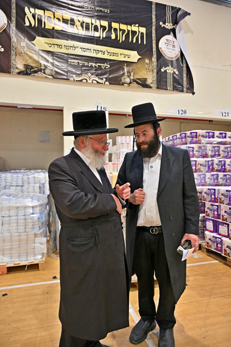 יהושע פרוכטר