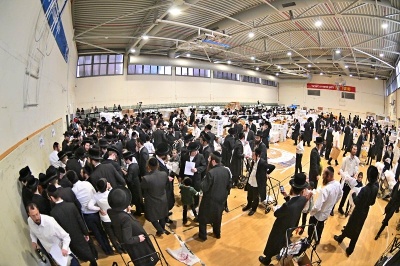 יהושע פרוכטר