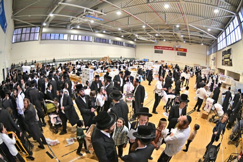 יהושע פרוכטר