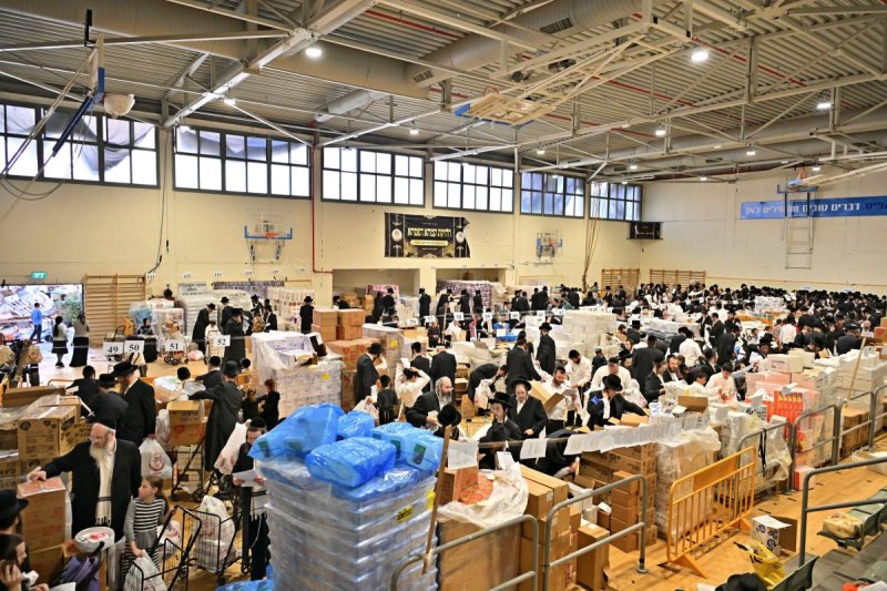 יהושע פרוכטר