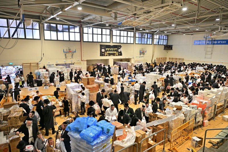 יהושע פרוכטר