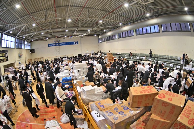 יהושע פרוכטר