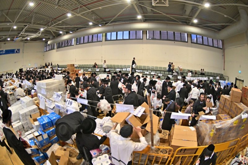 יהושע פרוכטר