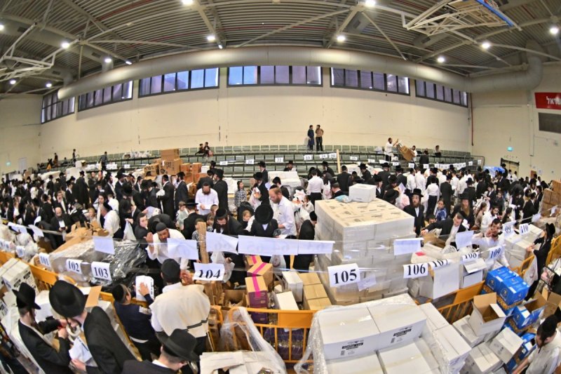 יהושע פרוכטר