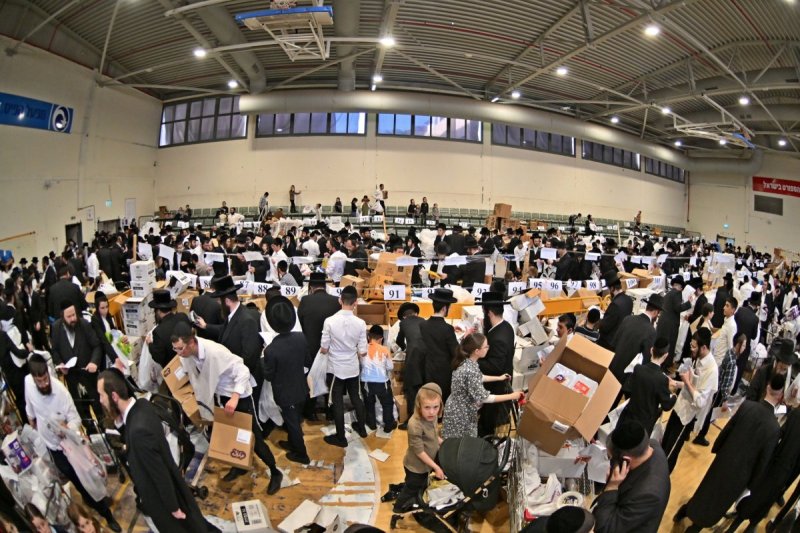 יהושע פרוכטר