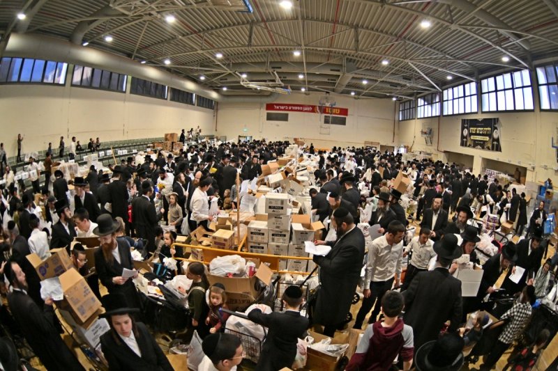 יהושע פרוכטר