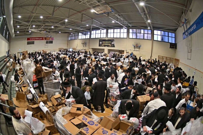 יהושע פרוכטר