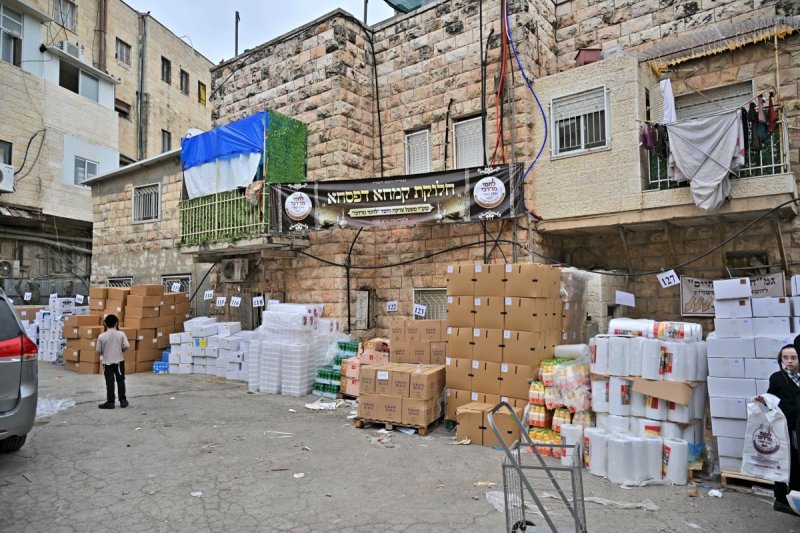 יהושע פרוכטר