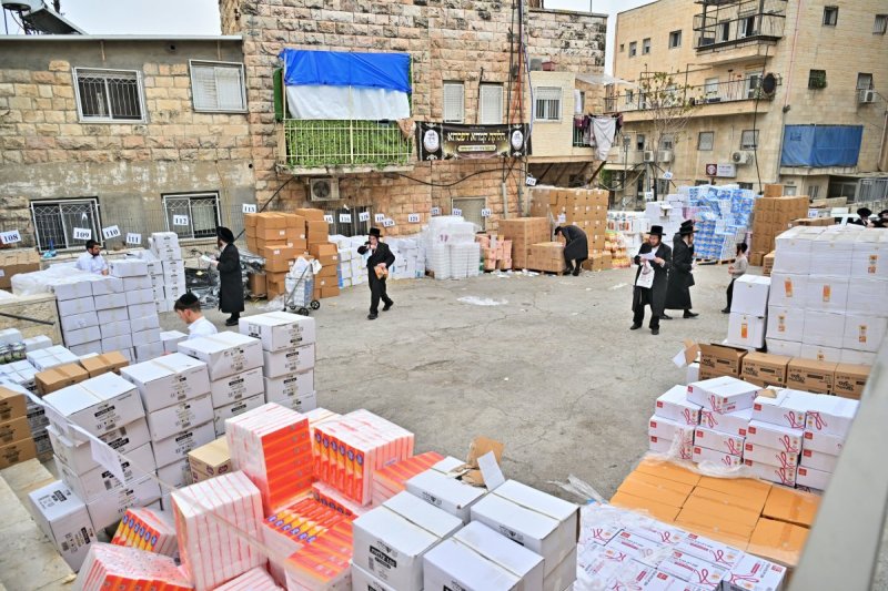 יהושע פרוכטר