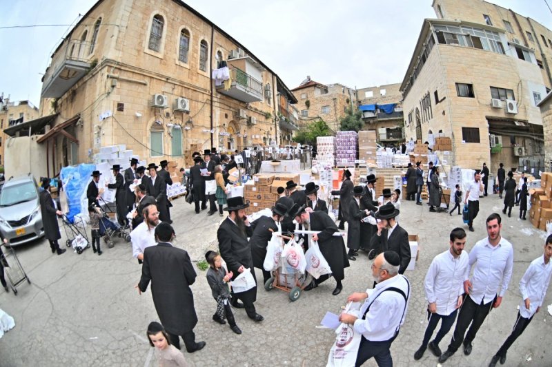 יהושע פרוכטר