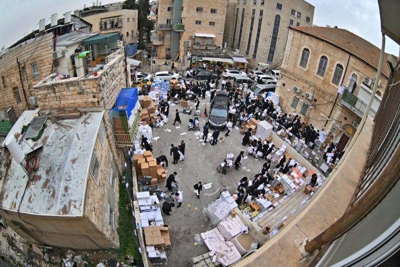 יהושע פרוכטר