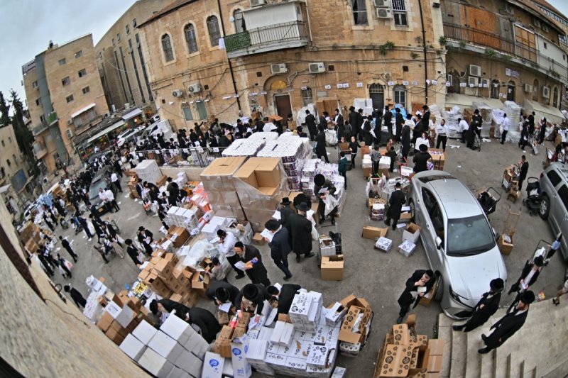 יהושע פרוכטר