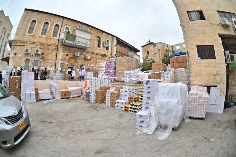 יהושע פרוכטר