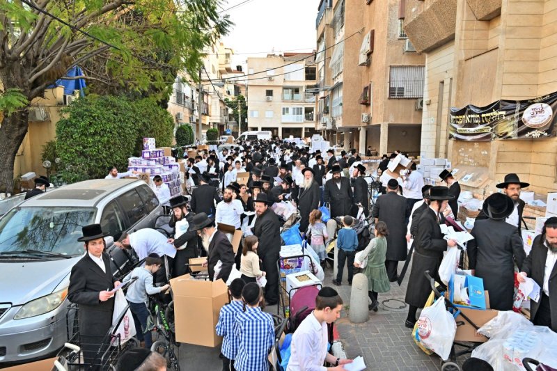 יהושע פרוכטר