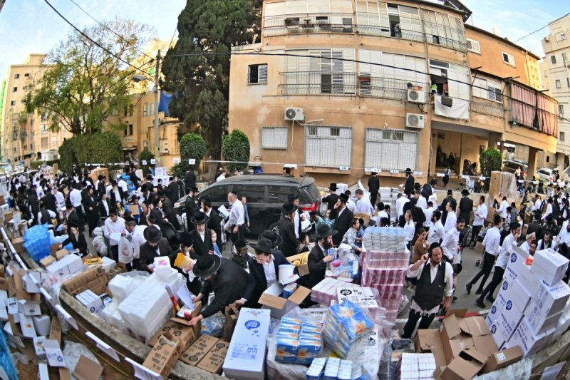 יהושע פרוכטר