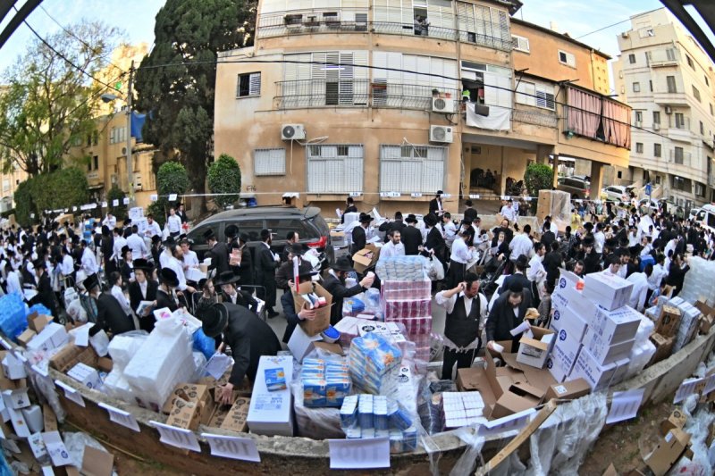 יהושע פרוכטר