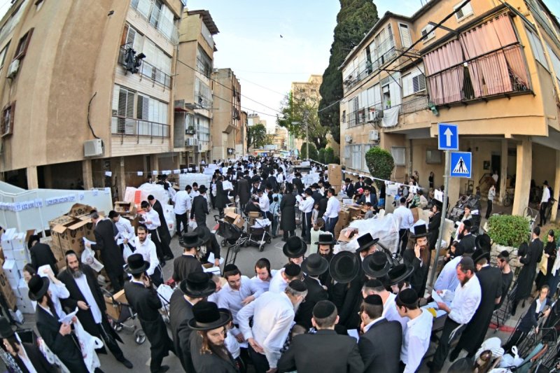 יהושע פרוכטר