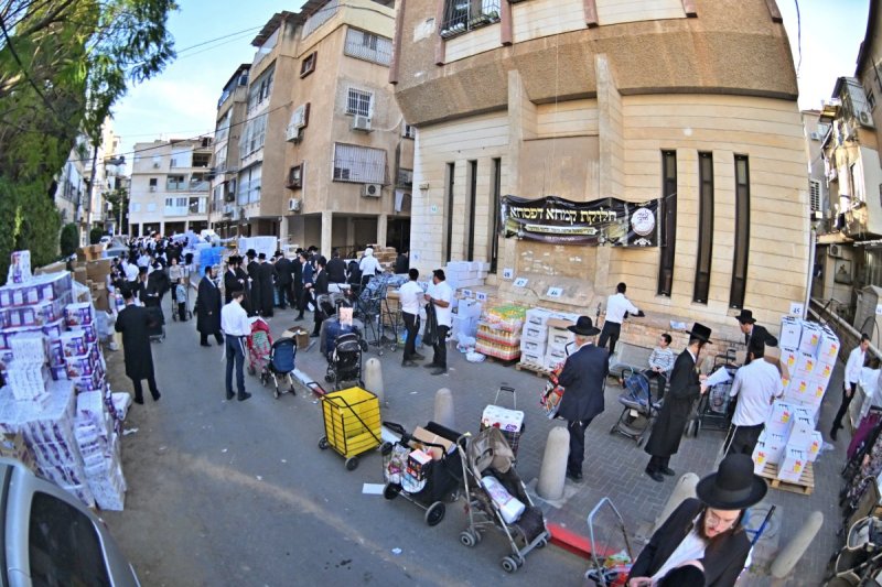 יהושע פרוכטר