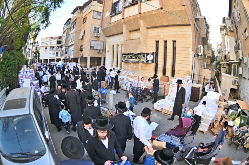 יהושע פרוכטר