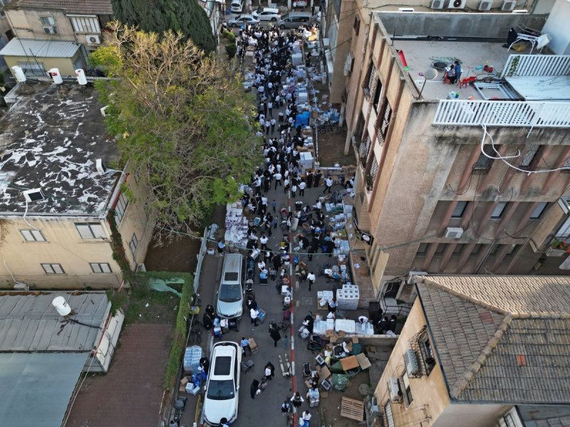 יהושע פרוכטר