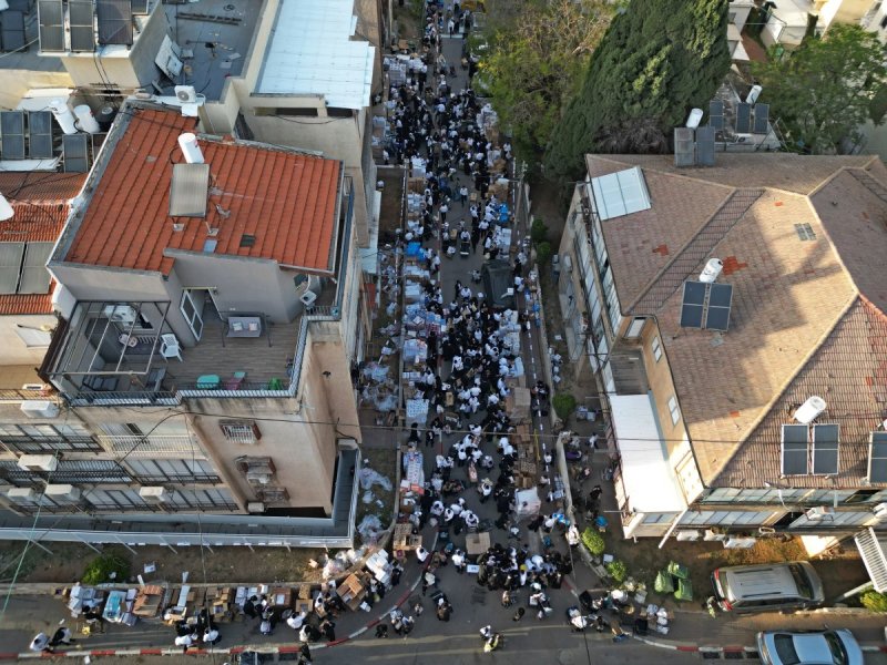 יהושע פרוכטר