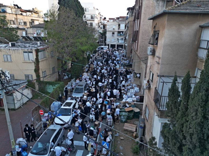 יהושע פרוכטר