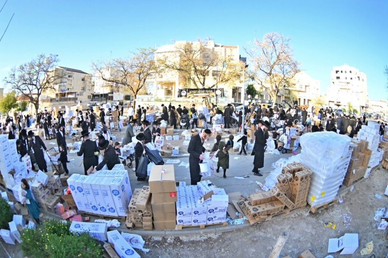 יהושע פרוכטר