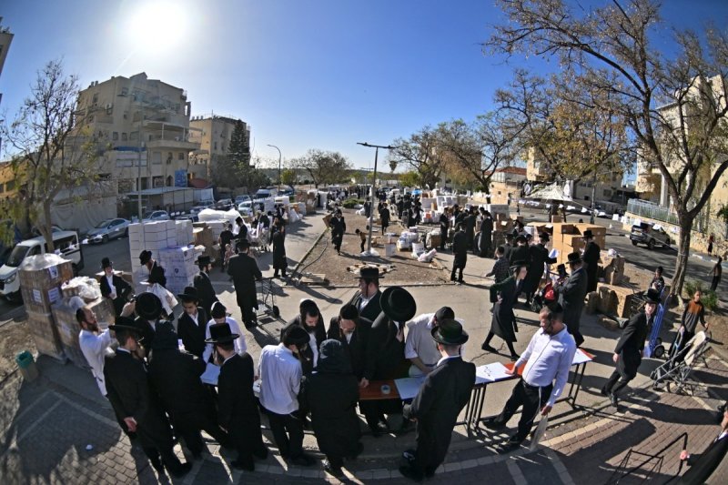 יהושע פרוכטר