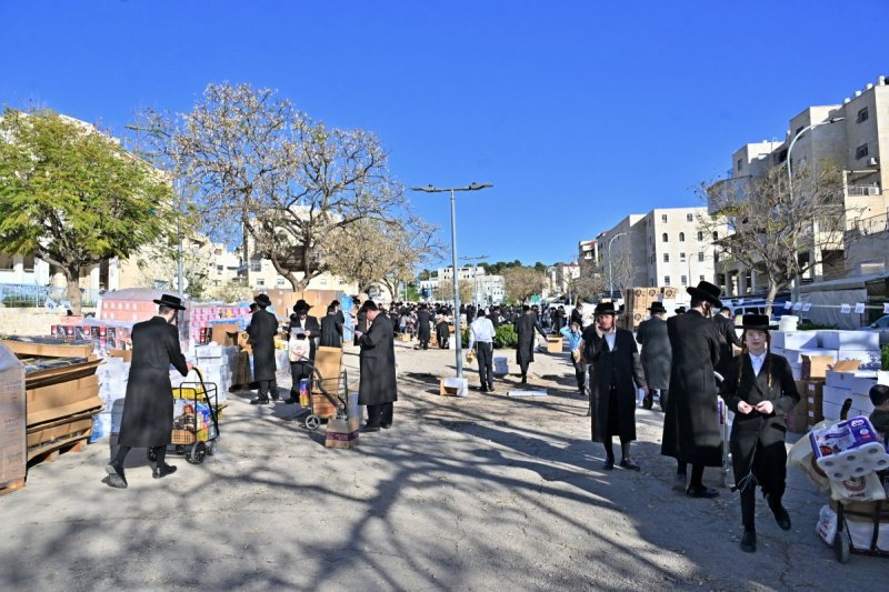יהושע פרוכטר