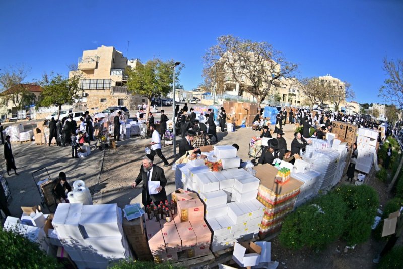 יהושע פרוכטר