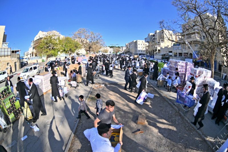 יהושע פרוכטר