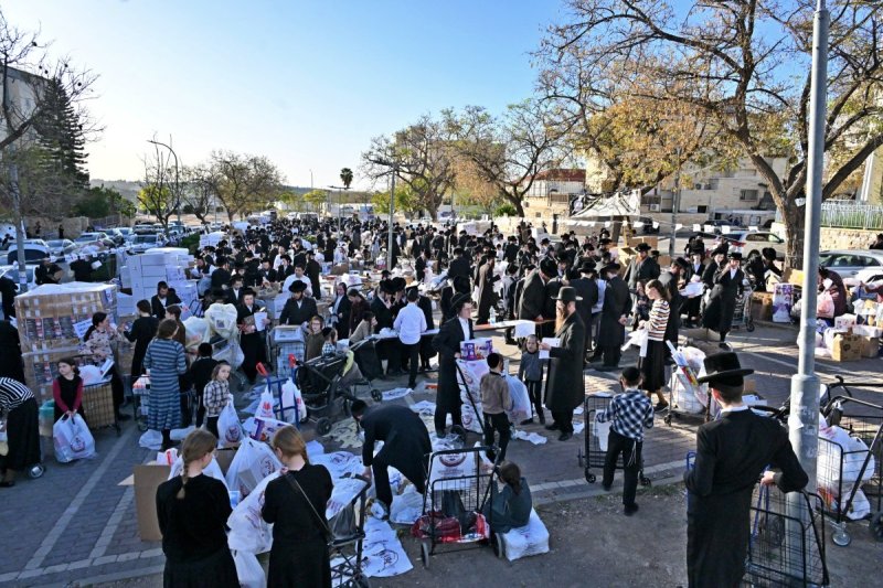 יהושע פרוכטר