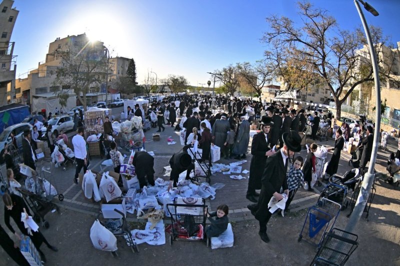 יהושע פרוכטר
