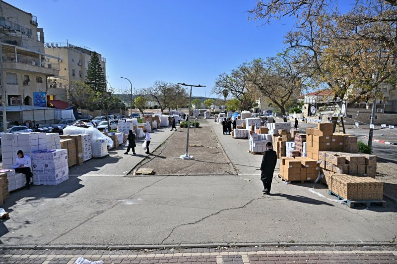 יהושע פרוכטר