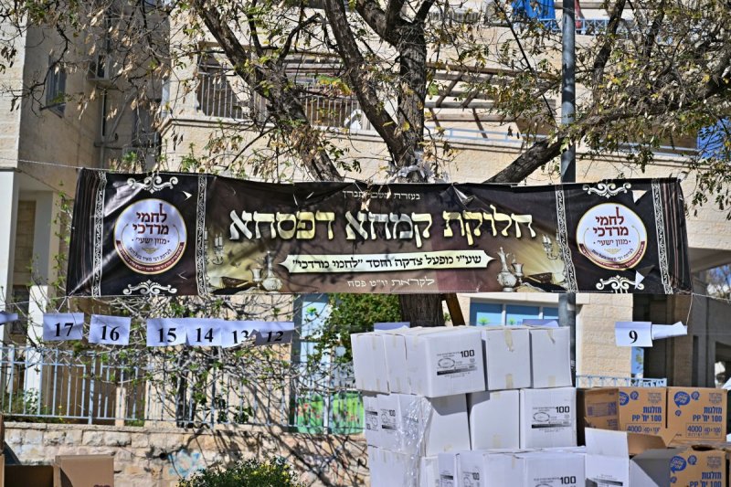 יהושע פרוכטר