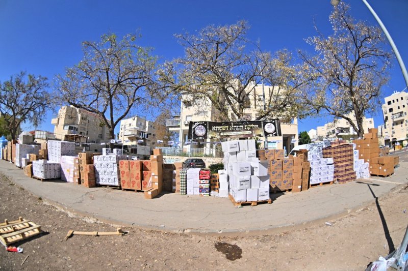 יהושע פרוכטר