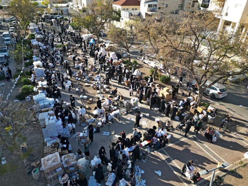 יהושע פרוכטר