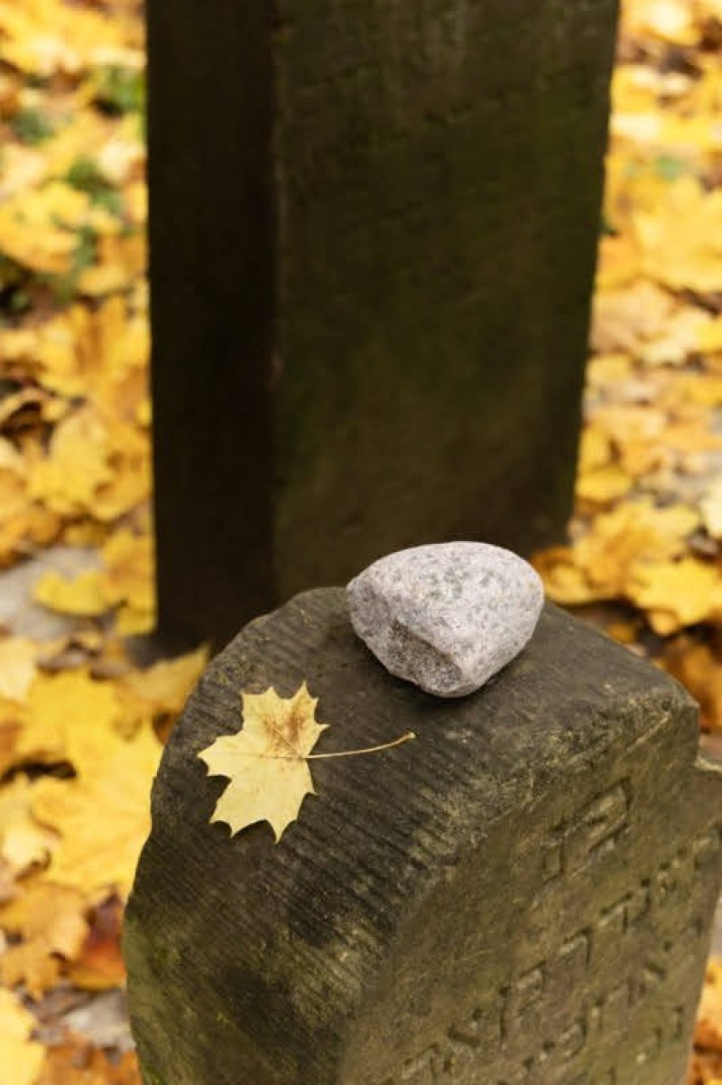 אנדריי בויץ