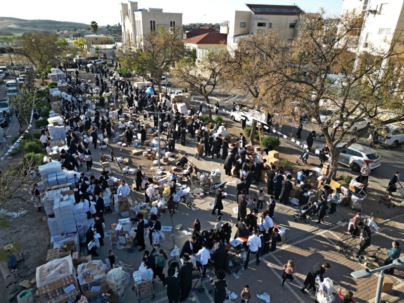 יהושע פרוכטר