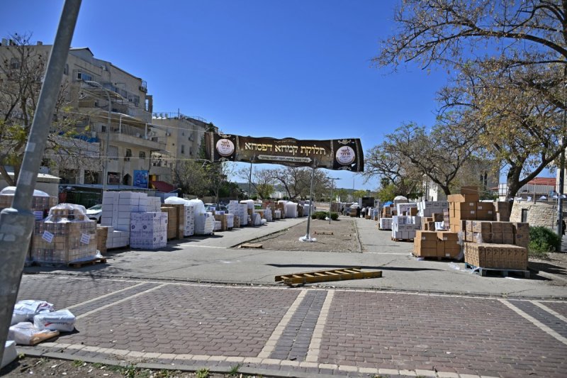 יהושע פרוכטר