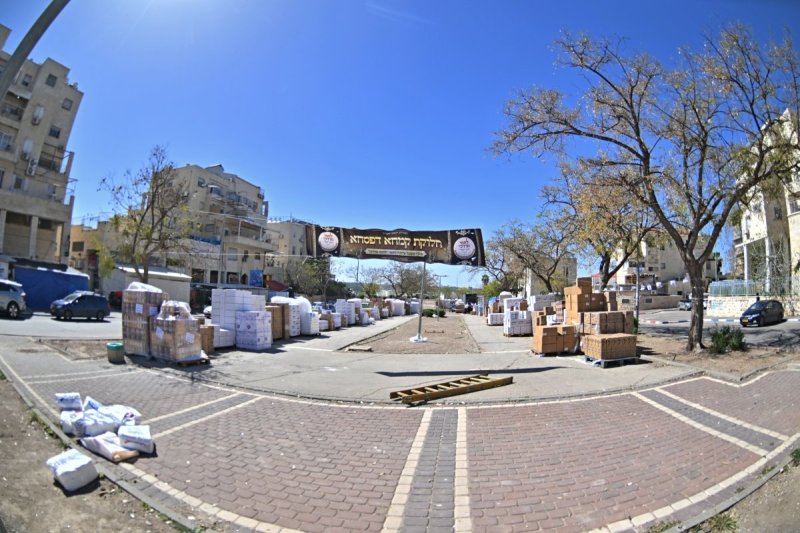 יהושע פרוכטר