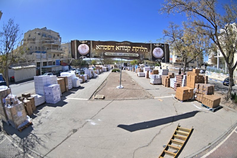 יהושע פרוכטר